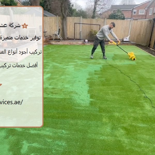 شركة عشب صناعي في عجمان